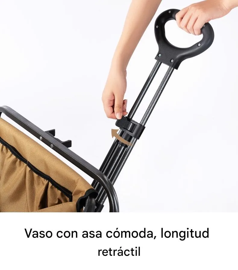 Imagen descriptiva del producto