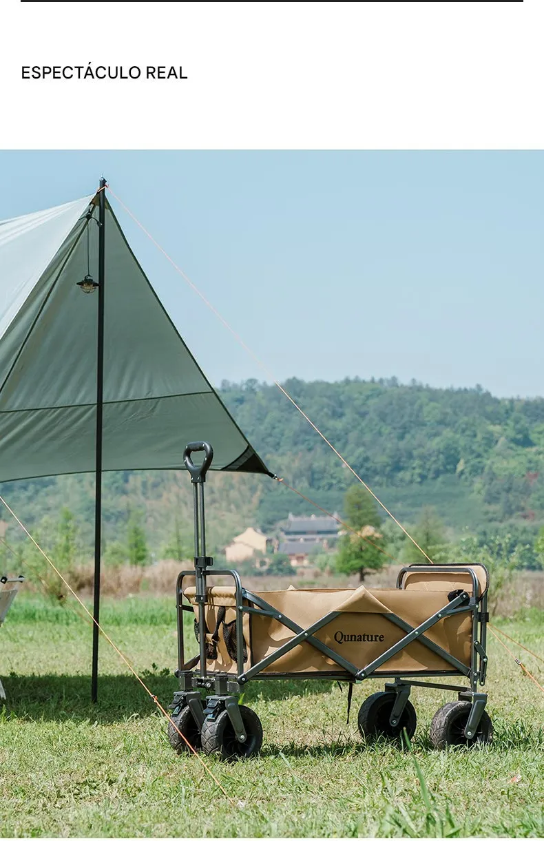 Imagen descriptiva del producto