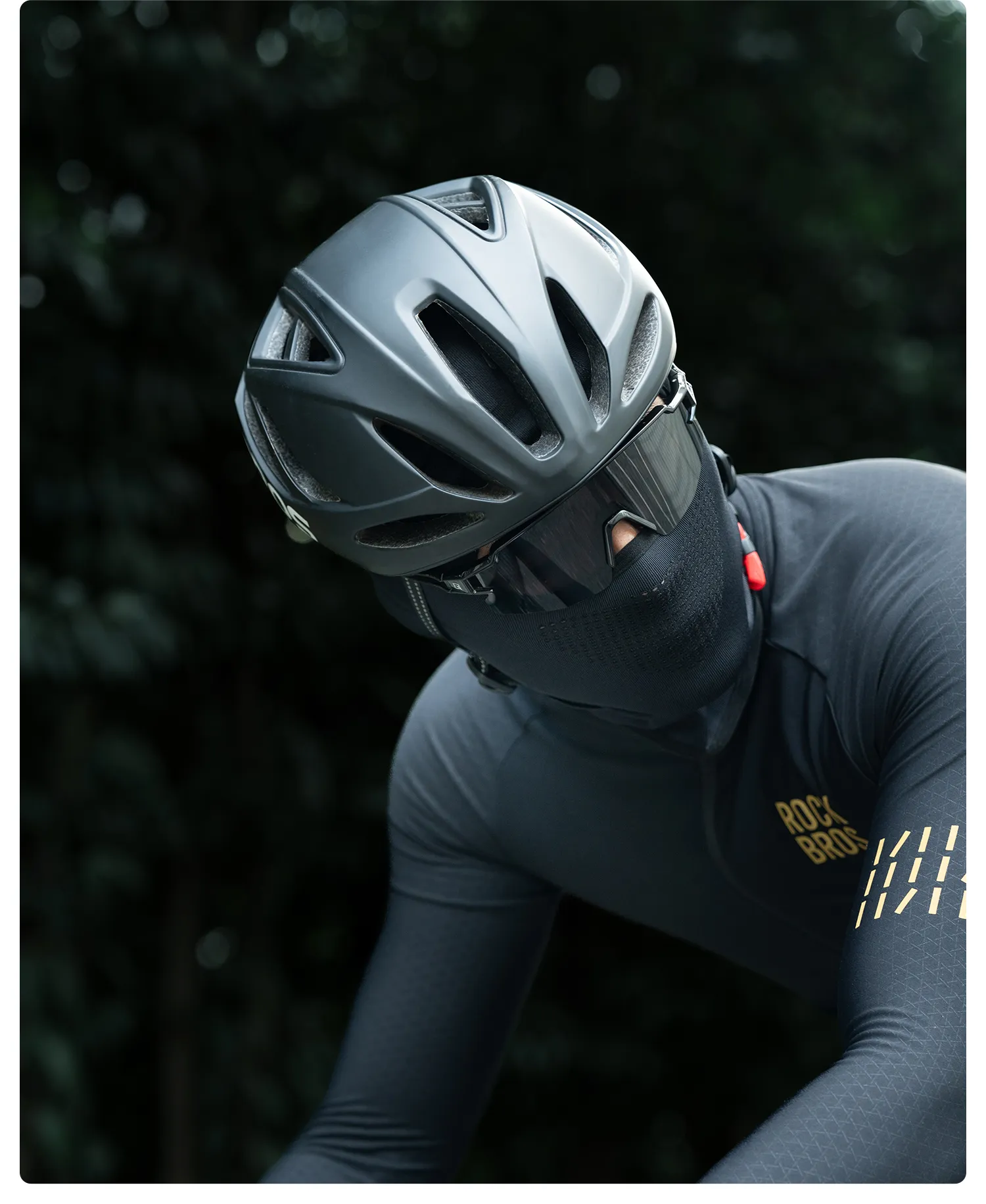 Imagen descriptiva del producto