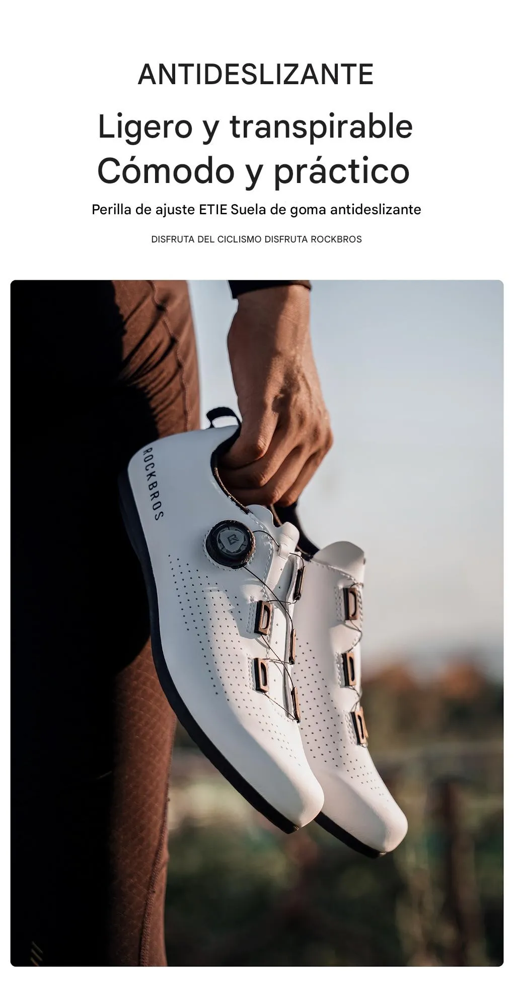 Imagen descriptiva del producto