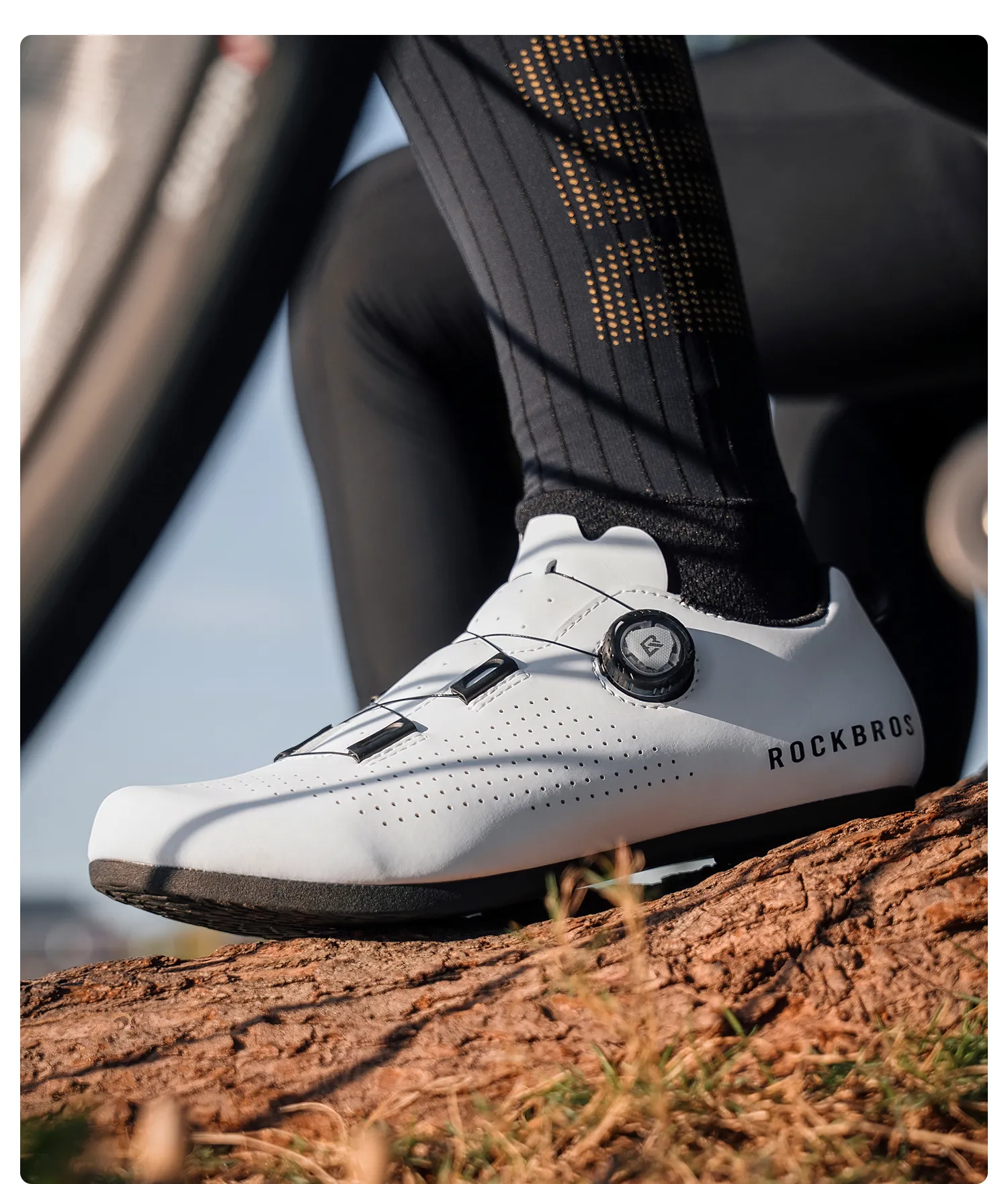 Imagen descriptiva del producto