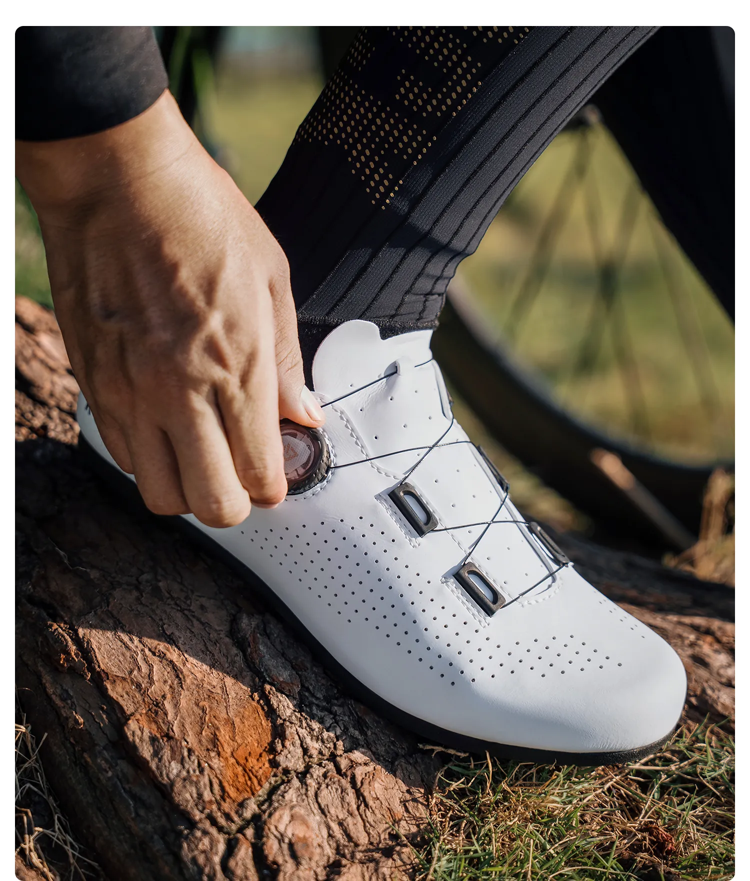 Imagen descriptiva del producto