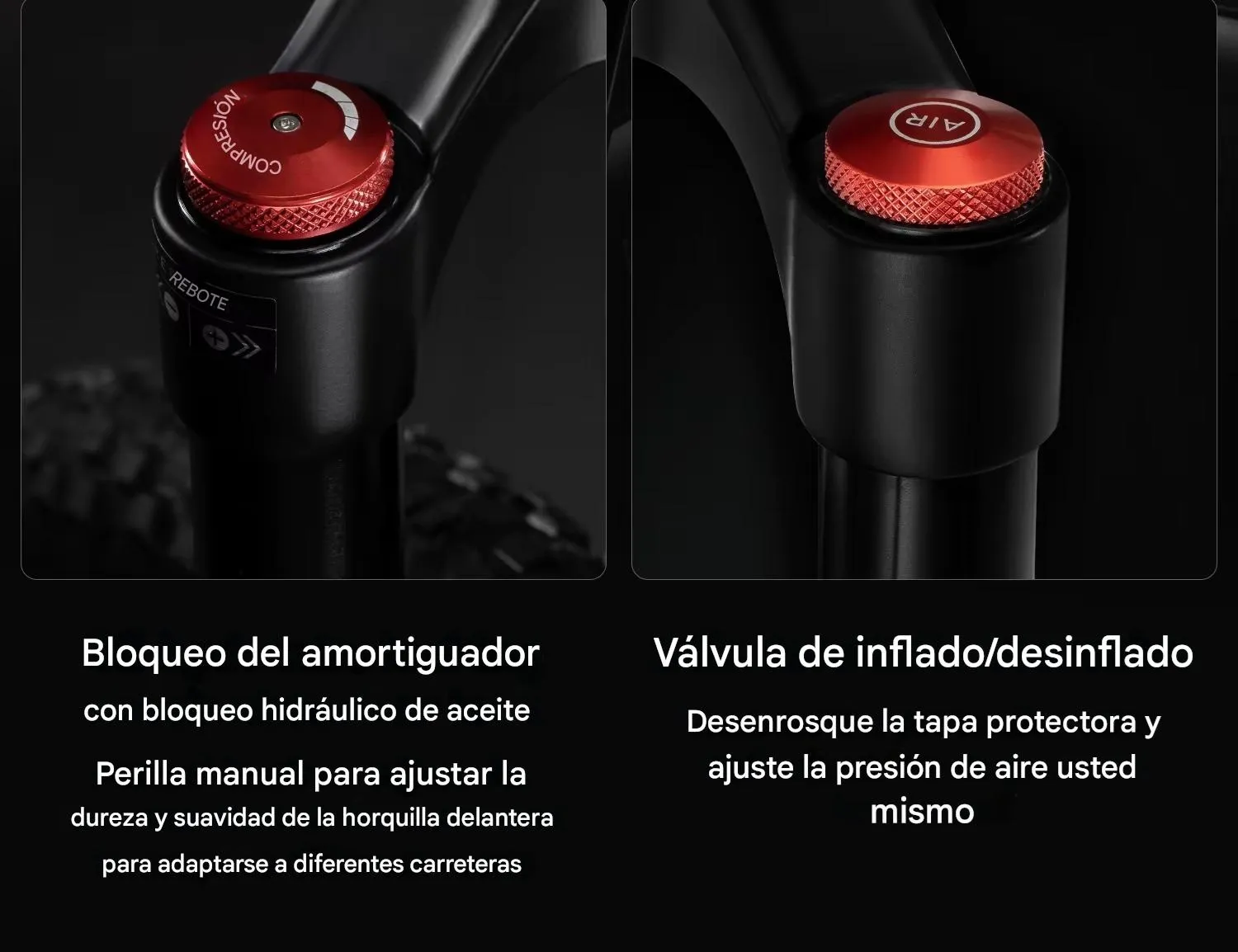 Imagen descriptiva del producto