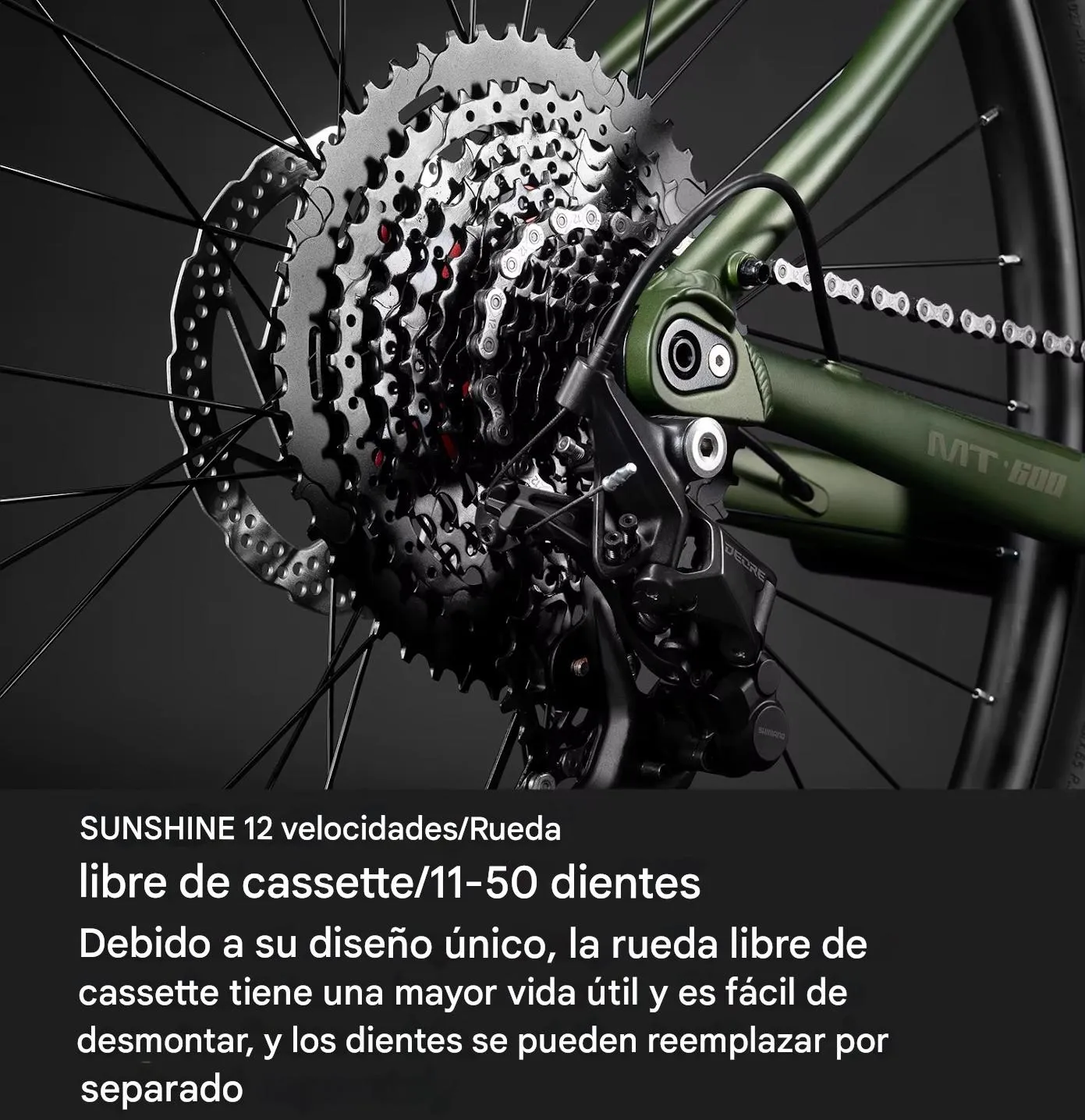 Imagen descriptiva del producto